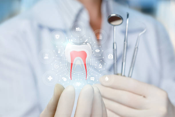 Professional Dental Services in Hudson, PA